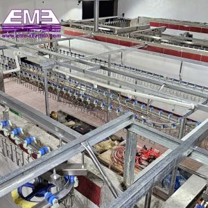 Thiết bị vặt lông gà tự động cho dây chuyền giết mổ gia cầm