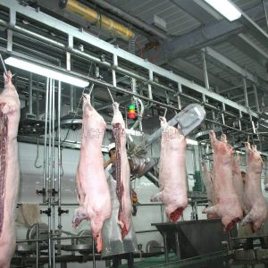 Máy Cưa Chia Thân Heo Cầm Tay