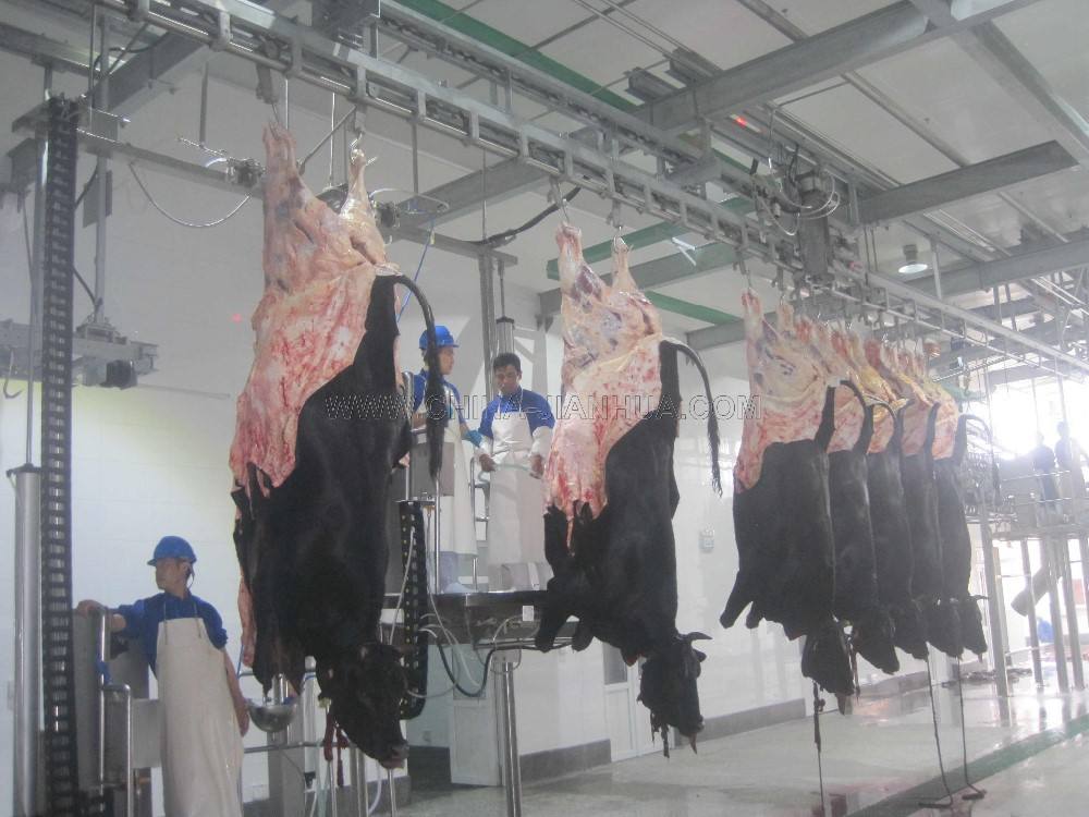 Nhà máy giết mổ bò & trâu Halal – Công suất 100 con/ngày - Image 3