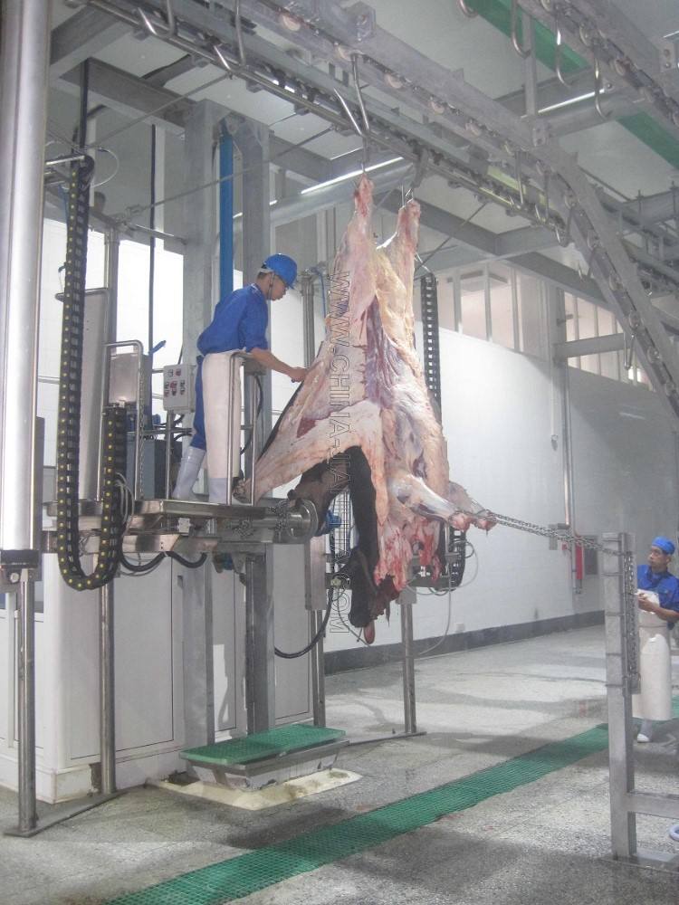 Nhà máy giết mổ bò & trâu Halal – Công suất 100 con/ngày - Image 4