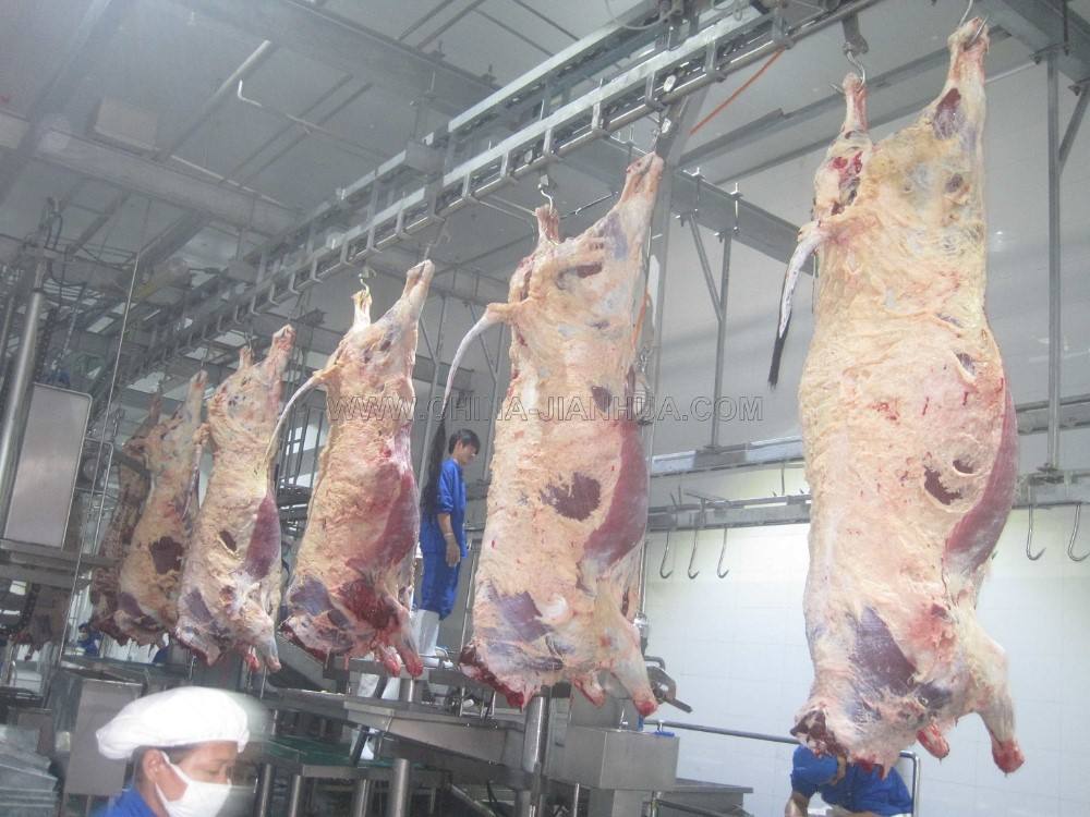 Nhà máy giết mổ bò & trâu Halal – Công suất 100 con/ngày - Image 6